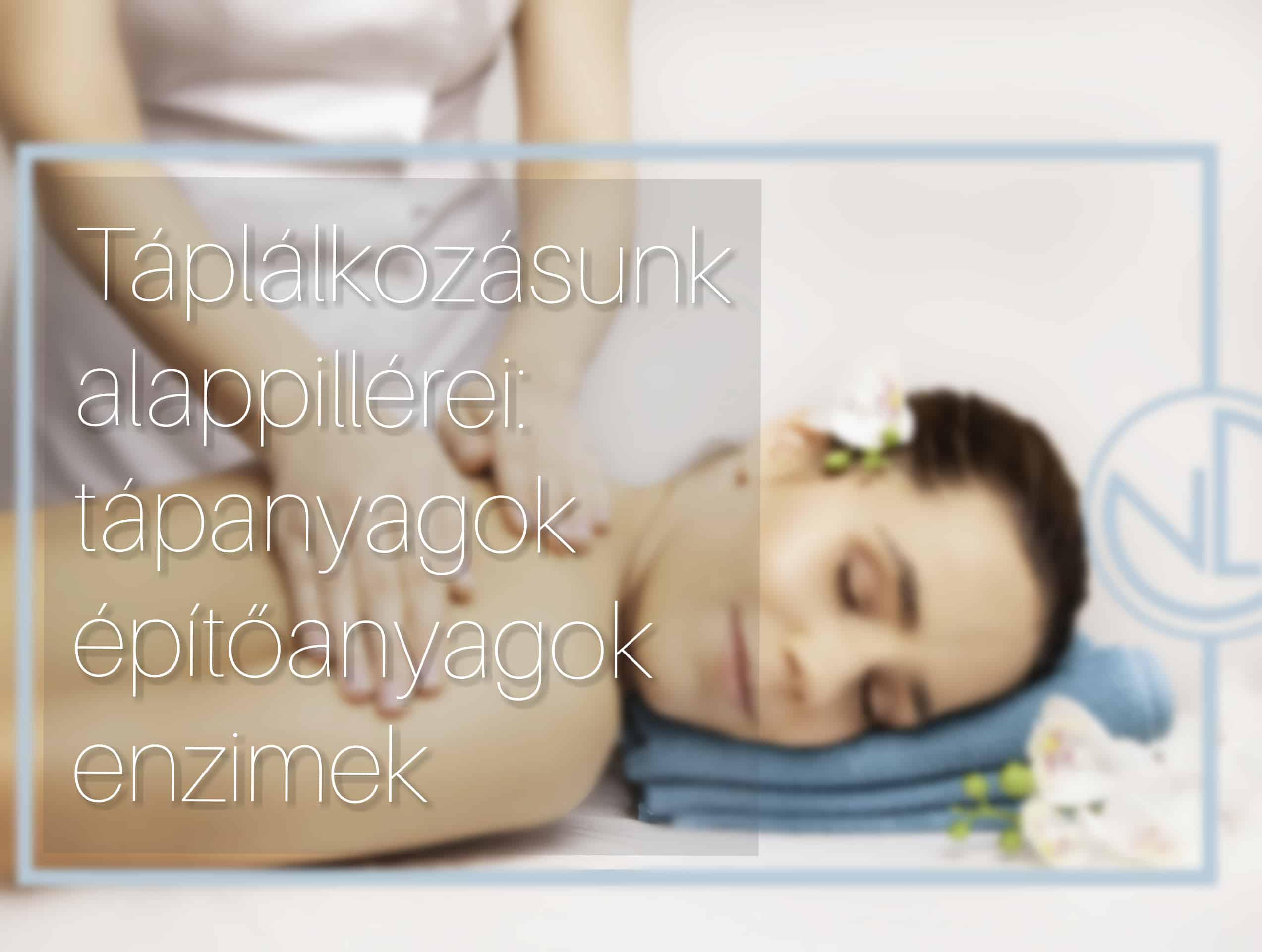 Mindennapi étkezéseink tápanyagforrásai